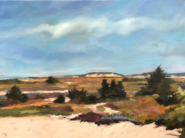 Faraway Dune by Rebecca Jacob