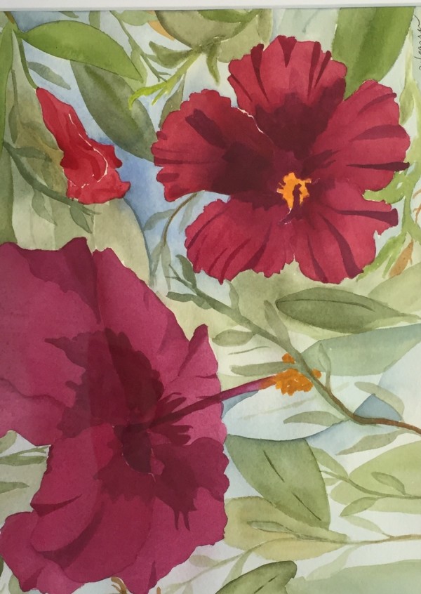 Ruby Hibiscus by Patti Claassen