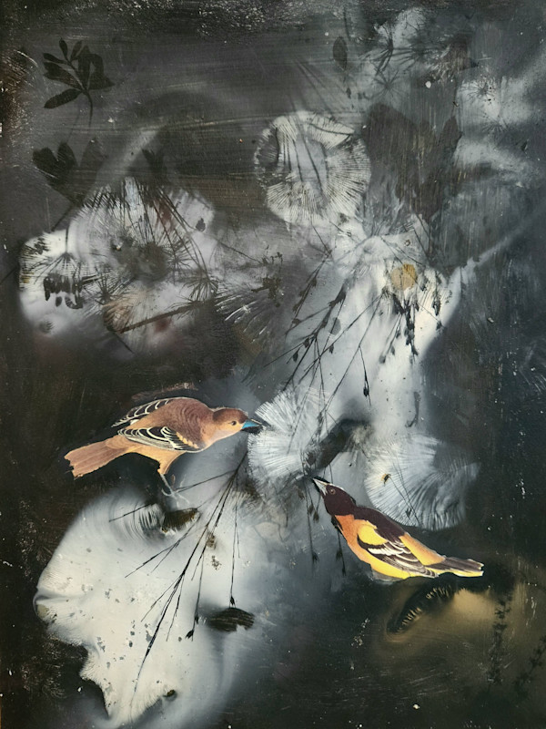 Baltimore Oriole - Cloud Nine by Madge Evers