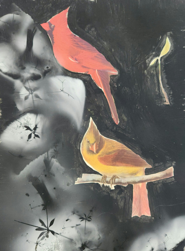 Cardinal by Madge Evers