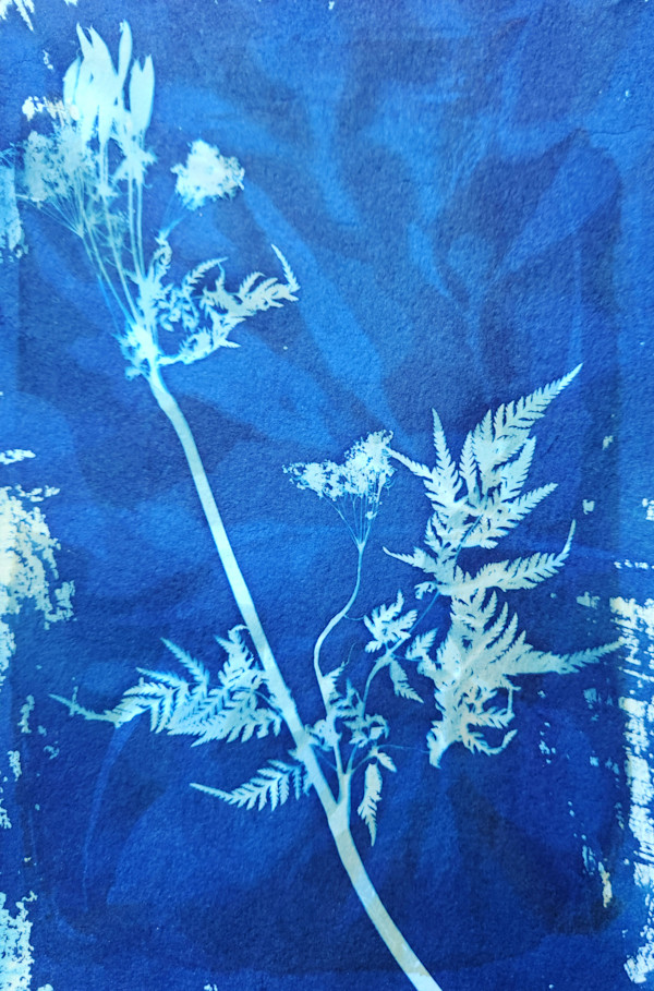 First Chervil by Madge Evers