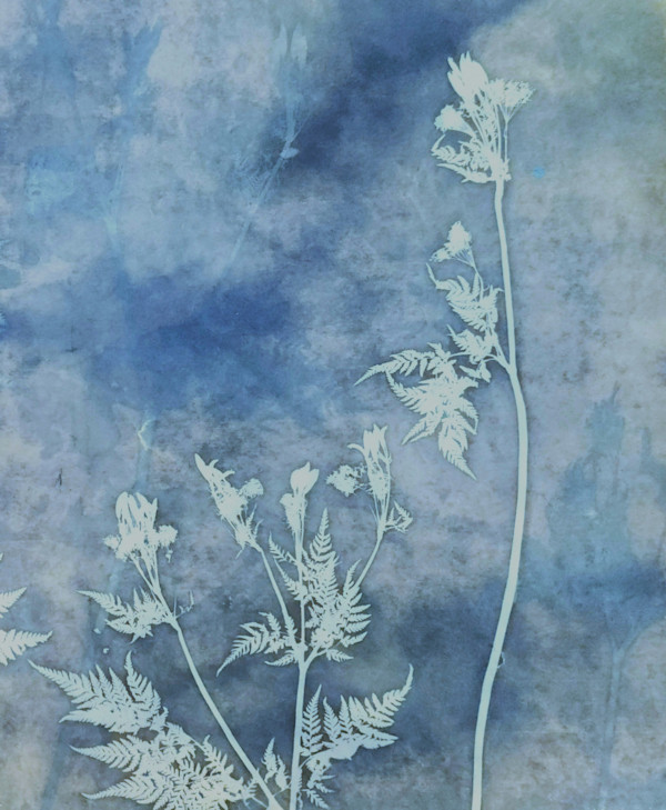 Making Friends With the Night by Madge Evers