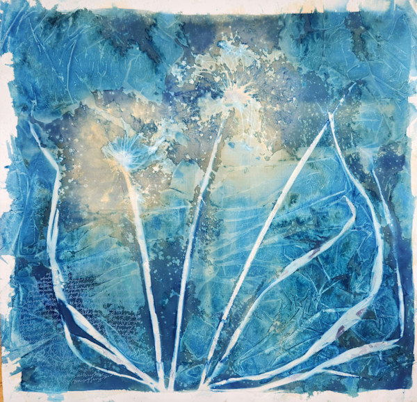 Star of Persia/Allium christophii, i by Madge Evers