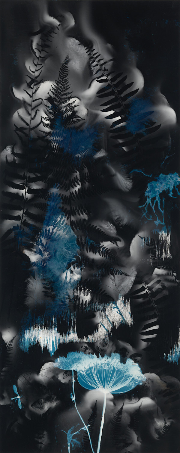 Anethum, Fern, Maidenfly by Madge Evers