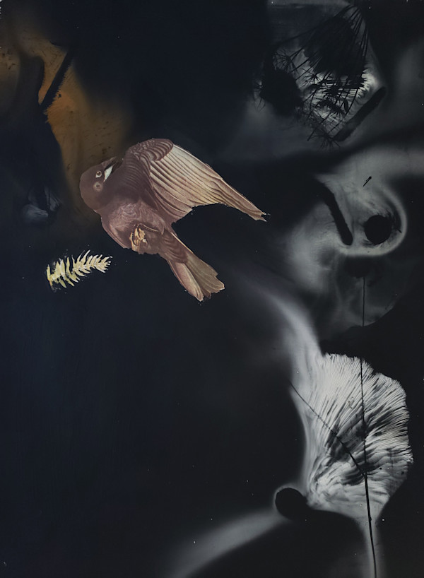 Fish Crow - Fleeing the Scene by Madge Evers