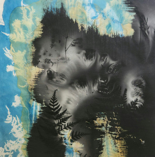 Forest Dreaming by Madge Evers