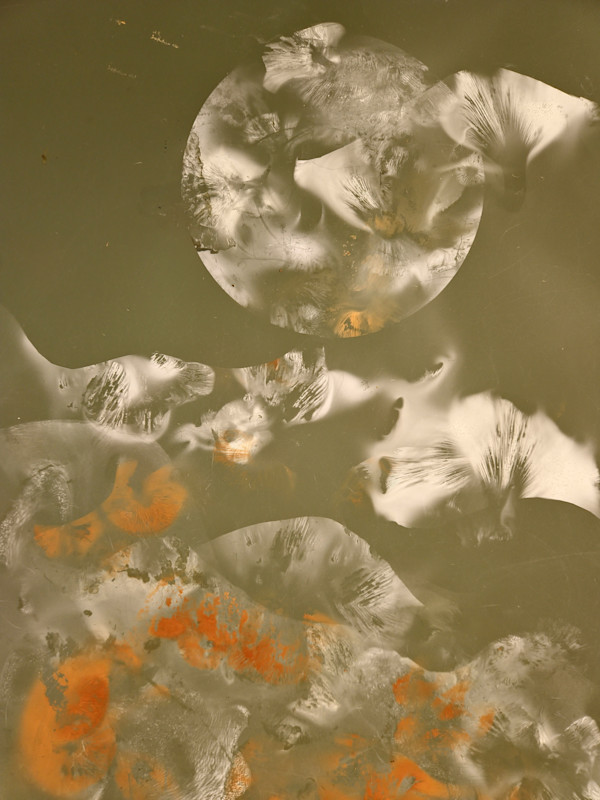 Shape Shifting by Madge Evers