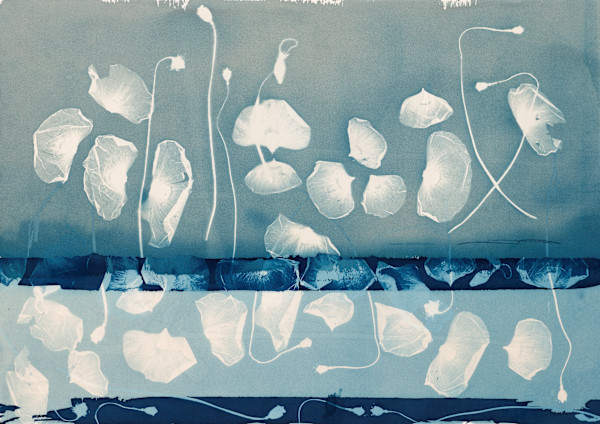 Undersea World of Poppies, i 3/20 by Madge Evers