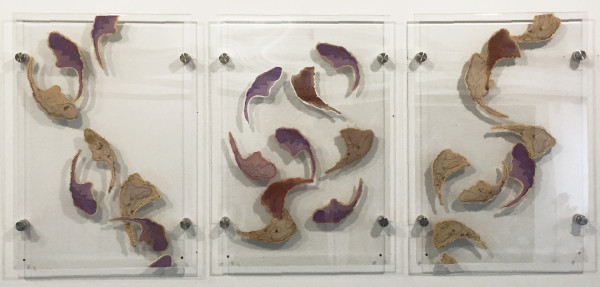 Organelles: Triptych by Susan Hensel