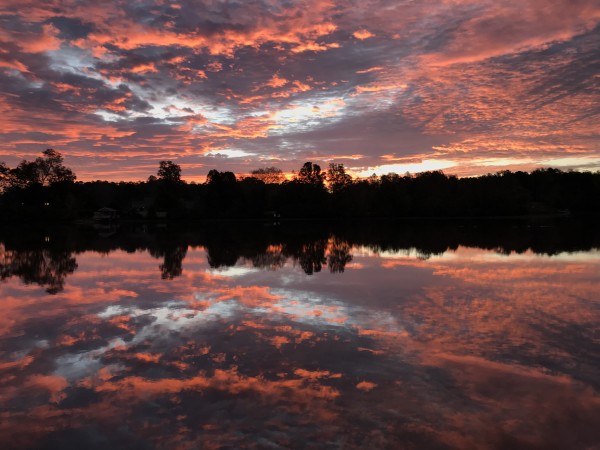 Fiery Sprinkles Sunrise Series© - Item #0928 by Lake Orange Sunrises LLC, Lisa Francescon, Owner
