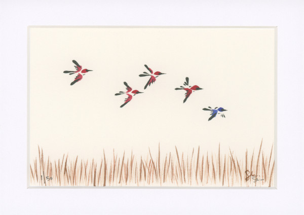 Bird Series by Craig Whitten