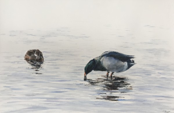 Ducks On Loch Ness #1