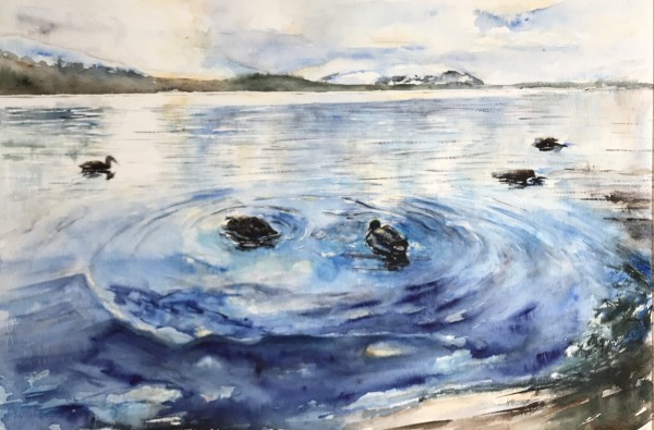 Ducks On Loch Ness #2