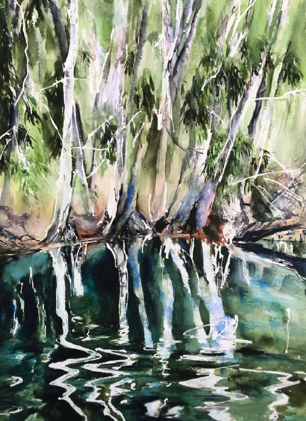 Hartley's Lagoon Cairns North Queensland by Cynthia Stewart