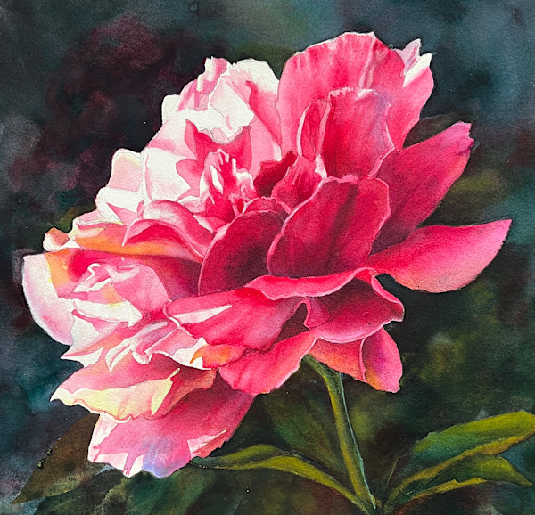 Pink Beauty by Marla Greenfield