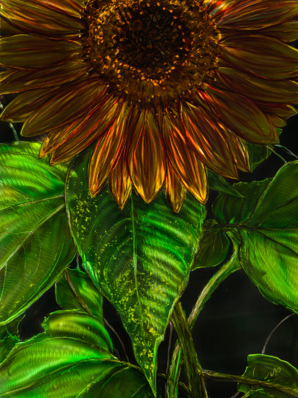 Sunflower Hug by James Norman Paukert