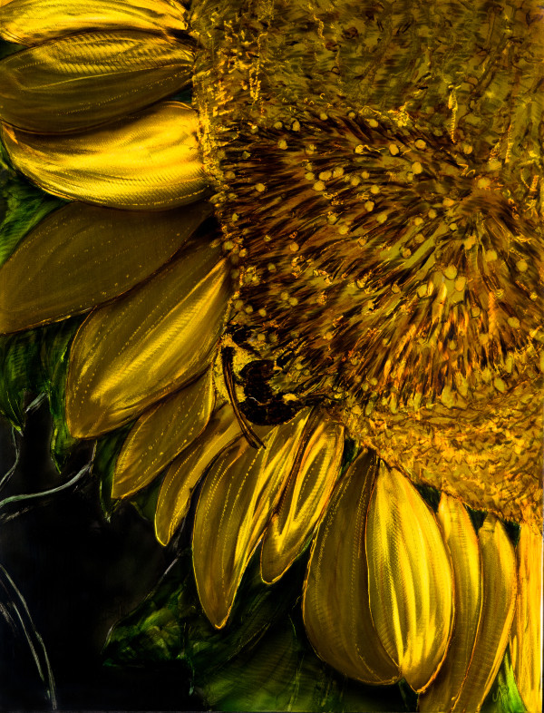 Yellow Sunflower by James Norman Paukert