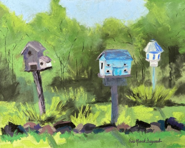 The Birdhouses of Nature's Trace