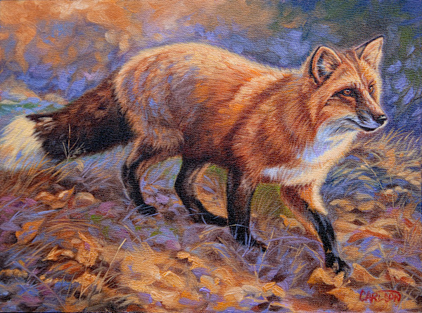 The Philosopher by cory Carlson