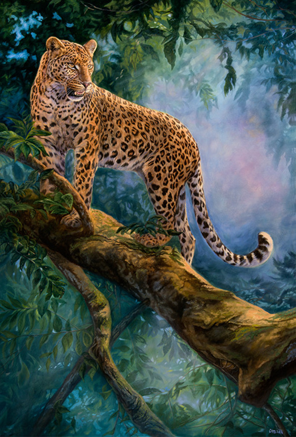 Shadows in the mist by cory Carlson