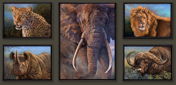 African Big 5 Collection