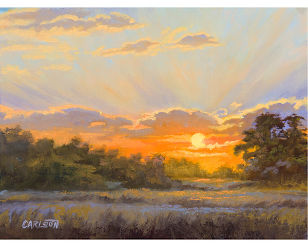 Bushveld Glow by cory Carlson, Image 2.