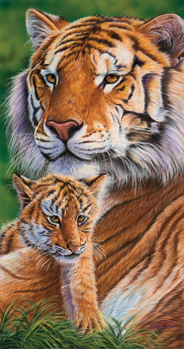 Tender moments by cory Carlson