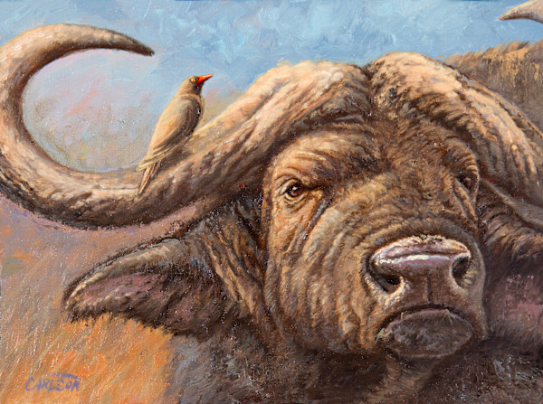 DaggaBoy by cory Carlson