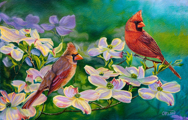 Cardinals of Spring