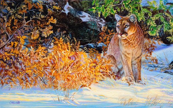 Early snow by cory Carlson