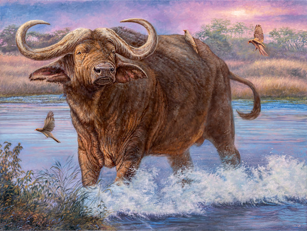Daggaboy Crossing by cory Carlson