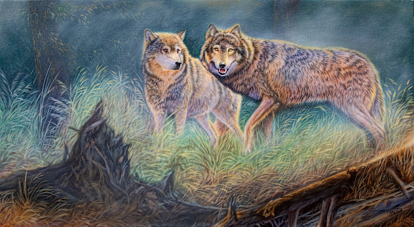 Dream Walker II by cory Carlson