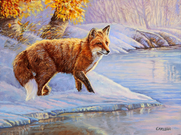 Frosty Dawn by cory Carlson, Image 1.