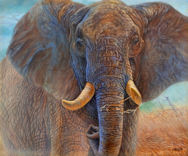 Giant by cory Carlson