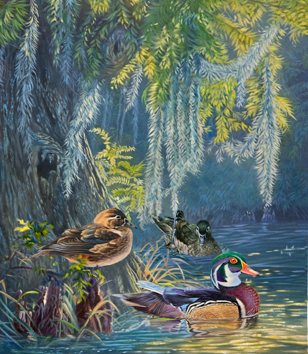 Hidden Waters by cory Carlson