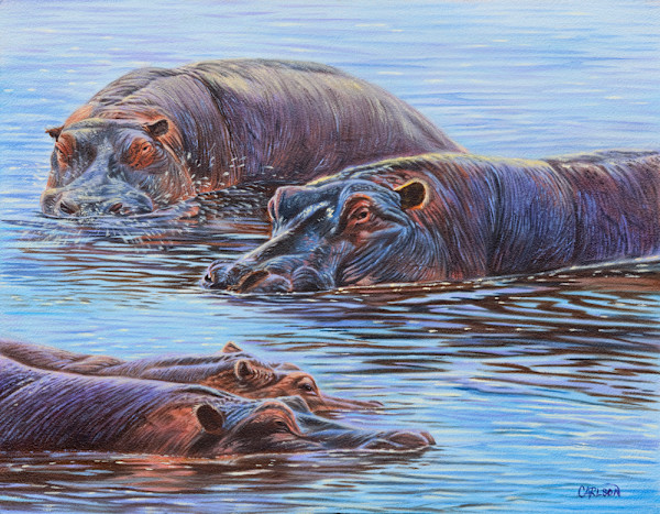 Hippo Pond by cory Carlson