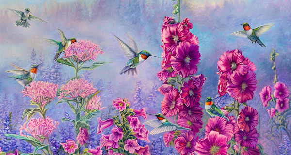 Hummingbird Paradise by cory Carlson