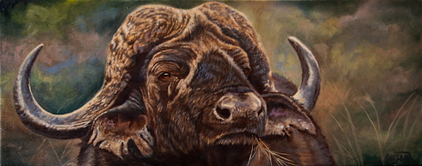 Tough Enough II by cory Carlson