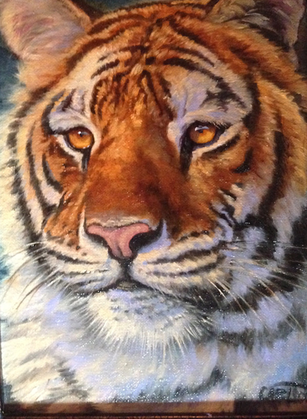 Tiger portrait by cory Carlson