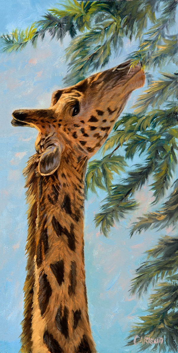 The Long Reach by cory Carlson