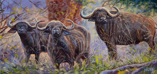 The Executives by cory Carlson