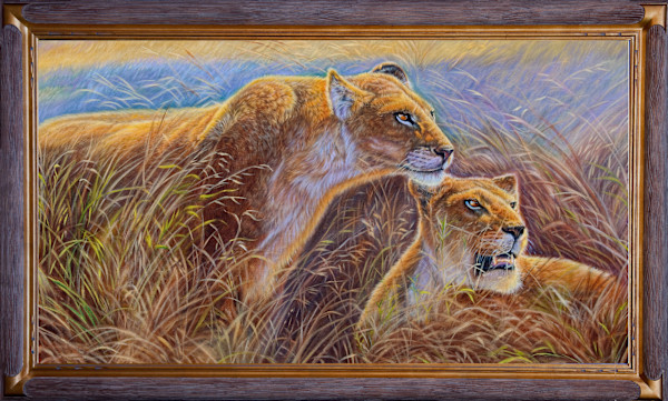 Tension at Dawn by cory Carlson