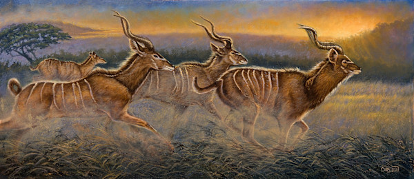 Swift Passage by cory Carlson