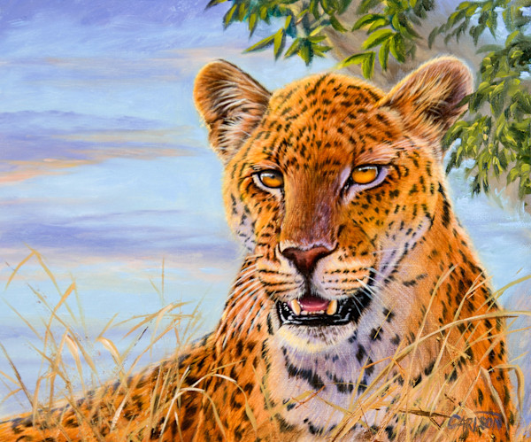 Sunset Watch by cory Carlson