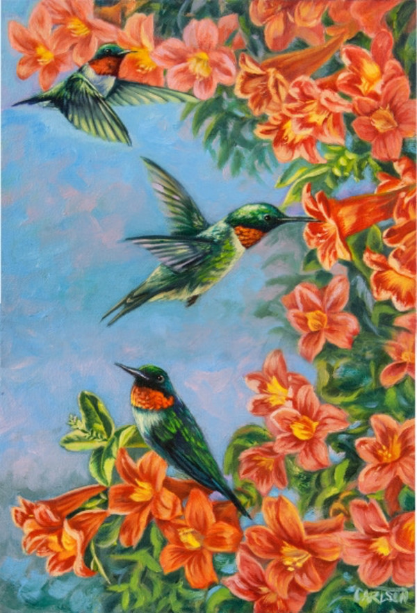 Summer Hummers by cory Carlson