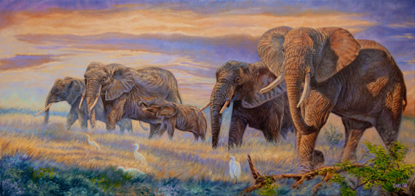 Splendor on the plains by cory Carlson