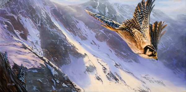 Sky Dive by cory Carlson