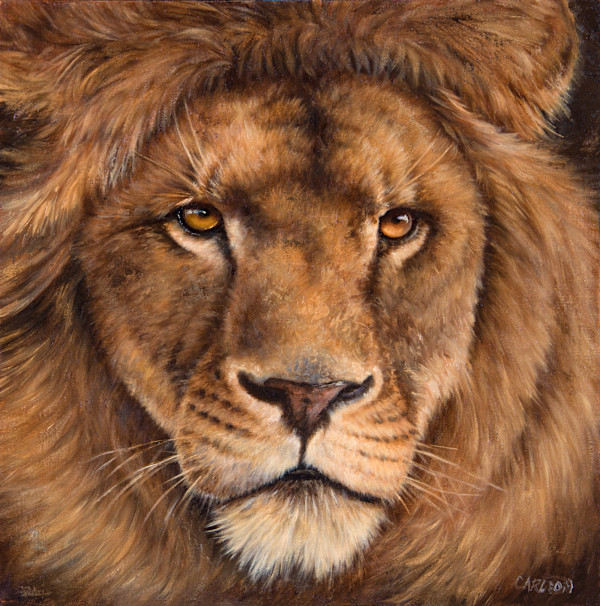 Simba III by cory Carlson