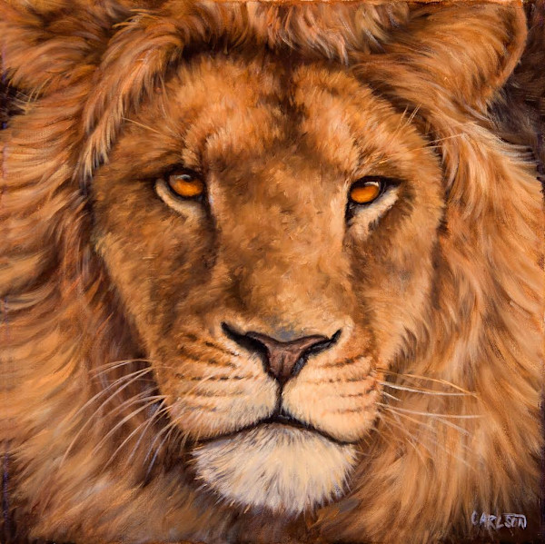 Simba II by cory Carlson