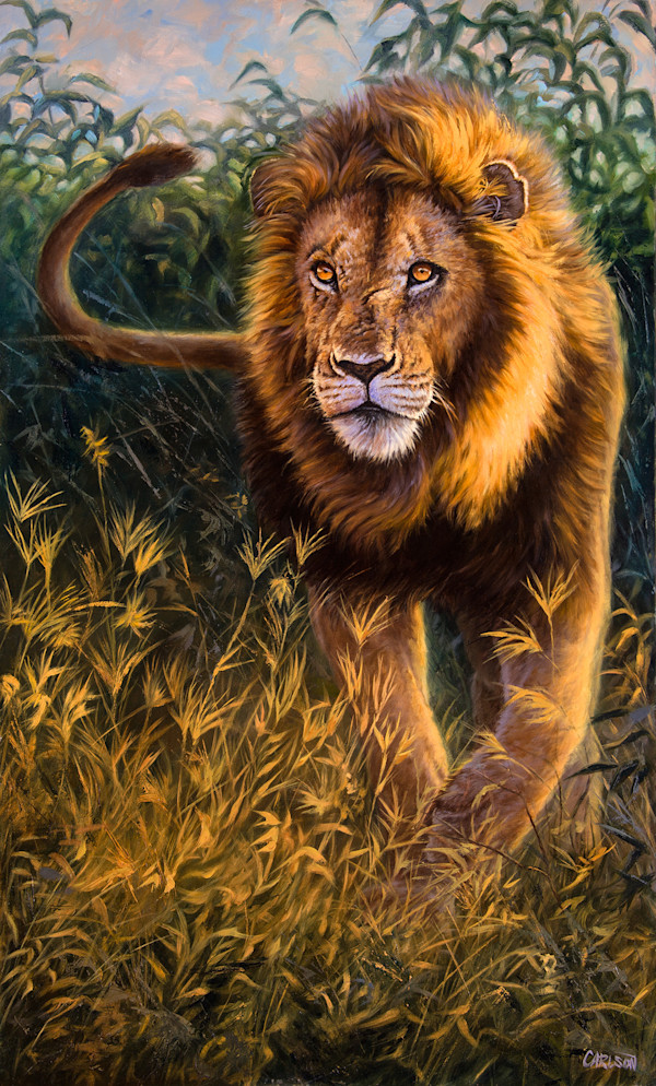 Simba by cory Carlson